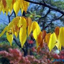 청운공원 이미지