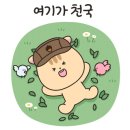 개암벌 용소 관광농원 캠핑장 이미지