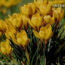 시립강동실버케어센터 | 연로하신 부모님 위한 강동구 추천 요양원 시립강동실버케어센터 돌봄 서비스의 전문성