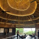 상업용 94 | [발리 짱구 요가 클래스] the practice 더 프랙티스 후기 (feat. 강아지 요가)