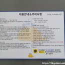 유니의바다 이미지