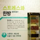 서울약령시한의약박물관 Daum카페