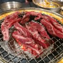 마포갈매기 이미지