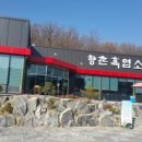 향촌흑염소가든 이미지