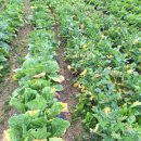 황토갈비한마당 이미지