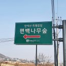 경주숲 1,2 이미지