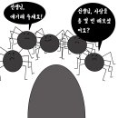 이루어진