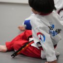 하늘찬 태권도 | 아이들이 즐겁게 배우는 태권도 풍호하늘찬태권도에서 시작하세요