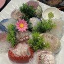 바다회천국 이미지