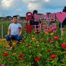 장성황룡강노란꽃잔치 축제장6 | 장성 황룡강 가을꽃축제 가수부터 주차장까지 기본정보 총정리!