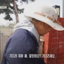 재밌게 사는 할아버지와 냥댕이들.jpgif 이미지