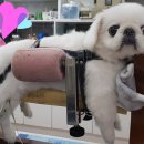 두암한방병원 이미지