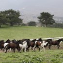 연세나무병원 이미지