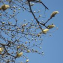 인후공원(배수지) 이미지