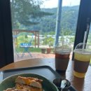 포레스트소울 | [가평애견동반카페]포레스트소울 내돈내산 상처입은 비추천 후기