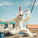 눈에띄다 이미지