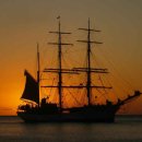 나포커피 이미지