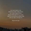 일상 : 11월 /광교호수공원/코스트코 머핀추천 / 가평핫플 골든트리후기/살롱드팔당/ 어묵탕/ 빼빼로데이