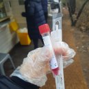 일산서구보건소 후문 이면도로 | 경기도 일산서구보건소 코로나 선별진료소 검사 후기와 주의사항