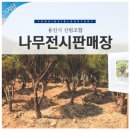 용인시산림조합