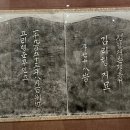 이병준농장 이미지