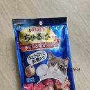 야옹아 멍멍해봐 강아지고양이 청주동남점 | 야옹아 멍멍해봐 동남점에서 사료 구매한 후기