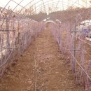 욱이네 농장 이미지