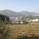 이병용 농장 Daum카페
