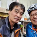 백두산청과 Daum카페