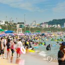 대천해수욕장 이미지
