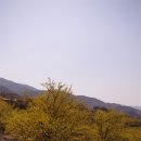 산수유피는마을 이미지