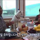 메리랑 메롱이네 이미지