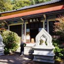 다누비 열차 이미지