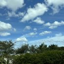 박해동내과의원 이미지