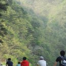 낙동카써비스 이미지