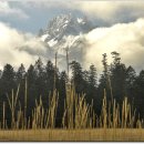 유토피아 이미지