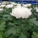 경상남도농업기술원 이미지