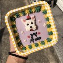 메이드알콩 이미지