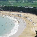 상주유자랜드 이미지