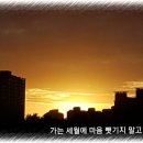 희망 이미지