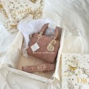 토드팜 | 디올 레이디백 파드 스몰색상 가격&amp; 꿀팁,실착 후기 (서면 롯백 본점 구매)