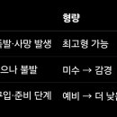 챗GPT와 내란재판 (3) 이미지