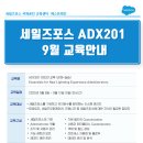 세일즈포스 교육 - ADX201, 신규 관리자를 위한 첫걸음! 이미지
