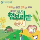 고창청보리밭축제, 초록물결 속 힐링의 시간!