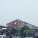 솔밭횟집꽃게탕