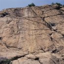 오금2리 이미지