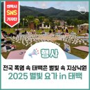 별빛쉼표 | 2025 별빛에 내리는 요가 in 태백, 가족 참가 후기
