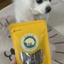 멍멍스푼 네이버블로그