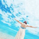 동해바다 이미지