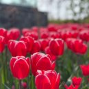 소노케어 이미지